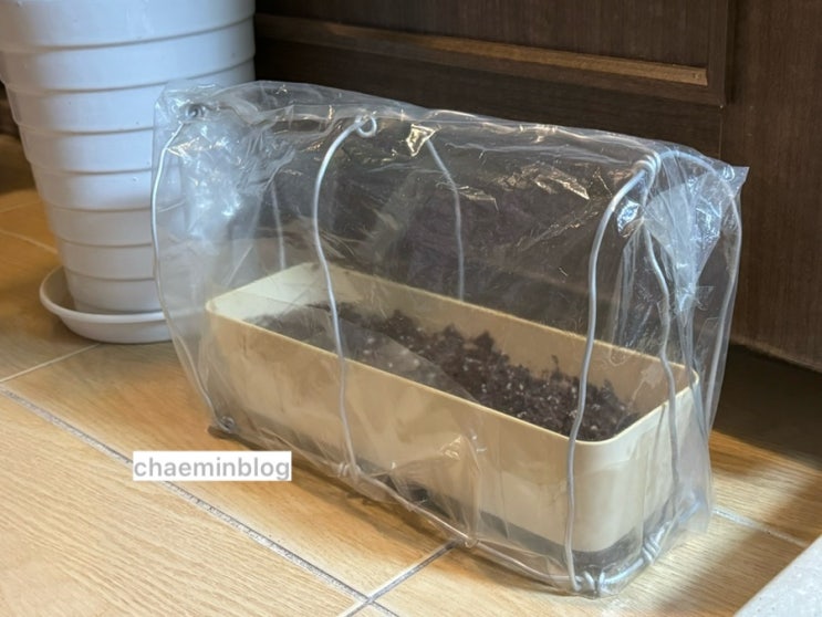  집에서 미니 비닐하우스/온실 만들기