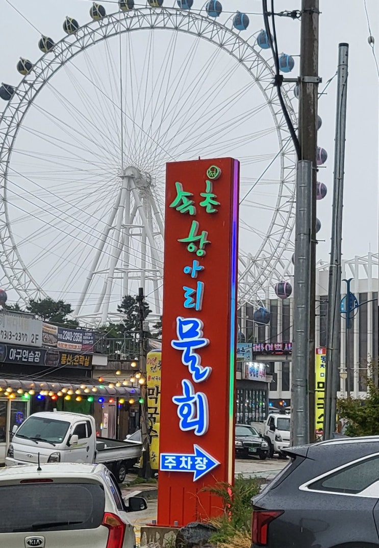  속초항아리물회, 물회 맛집 인정 주차 웨이팅