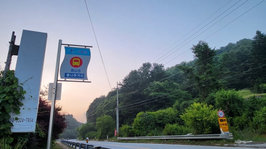 가마소유원지식당 사진 2