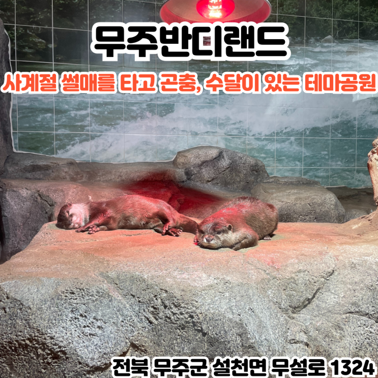  부산INFJ의 여행 - [전북 무주] 무주반디랜드 : 아이들과 놀러오기 좋은 사계절썰매와 수달, 곤충, 양, 수족관을 체험할 수 있는 테마공원