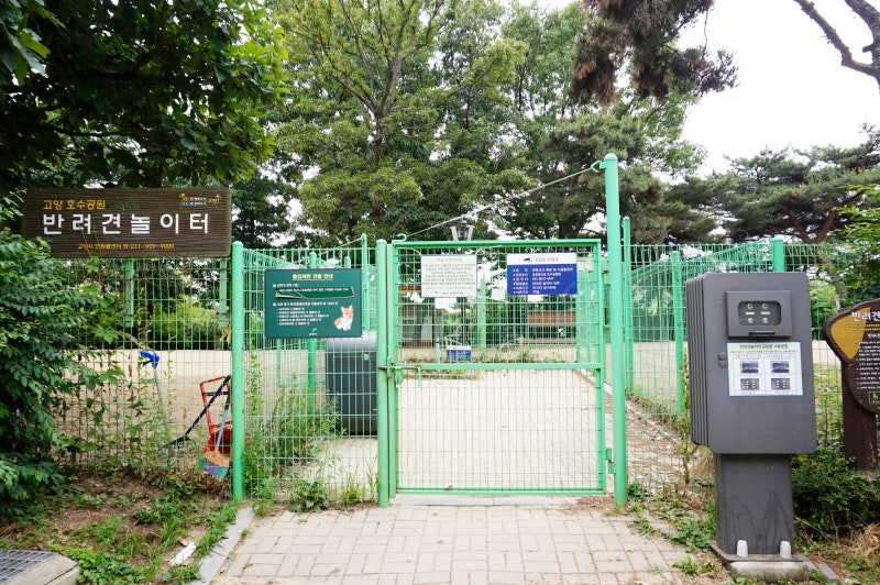 사진 2