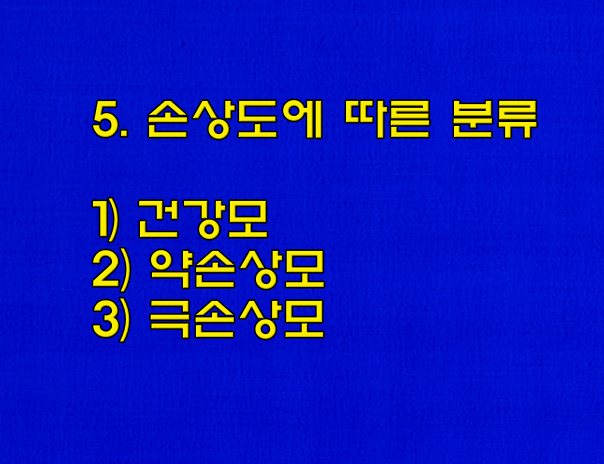  모발의 분류와 특징