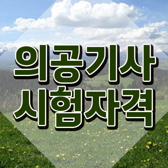  의공기사응시자격 의공기사 응시자격 온라인 과정으로 4달 안에 성공한 전략
