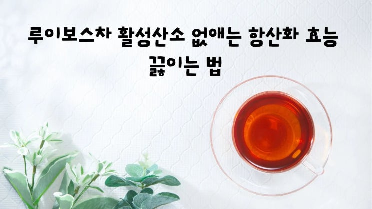  루이보스차 활성산소 없애는 항산화 효능 끓이는 법