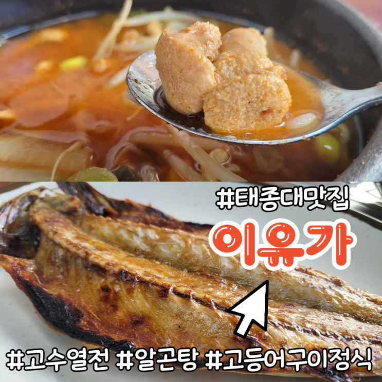  부산 태종대맛집, 고수열전 출연 이유가, 고등어구이와 알곤탕