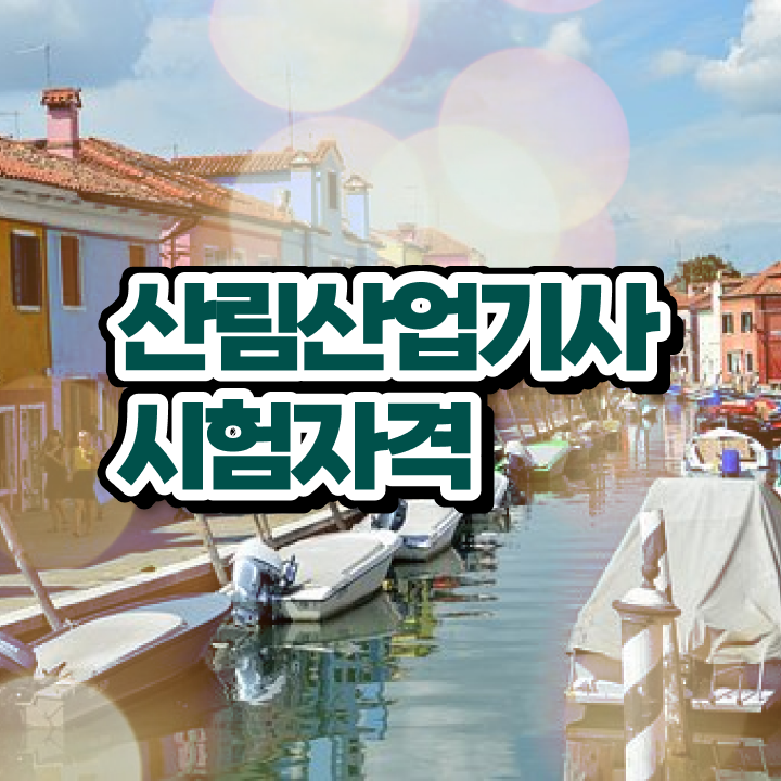  산림 산업기사교재 산림산업기사 자격요건 집에서 온라인으로 5달만에 성공한 방법