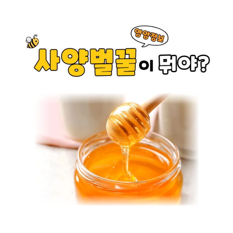  [영양정보] 사양벌꿀, 천연벌꿀 차이가 뭐야? (feat. 아카시아꿀) / 소사본동pt