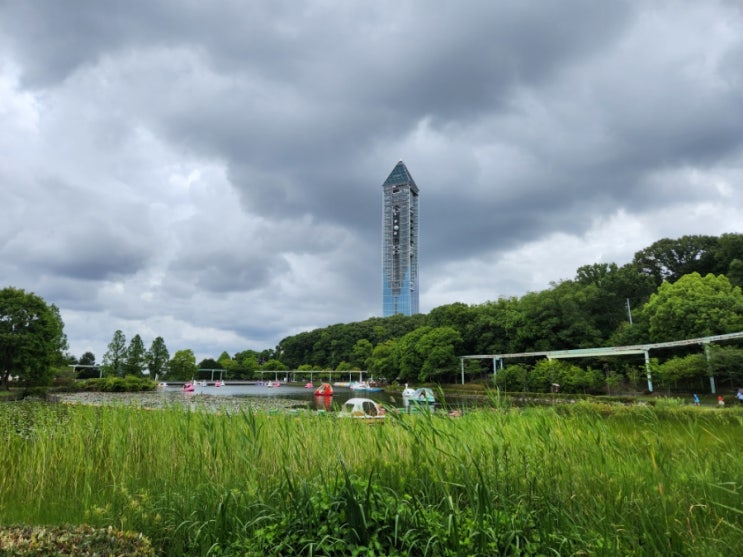  수국 만발한 6월의 히가시야마 동식물원 산책과 스카이 타워 전망대 레스토랑