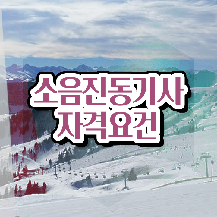  소음진동기사 자격요건 집에서 온라인으로 5달만에 끝낸 전략