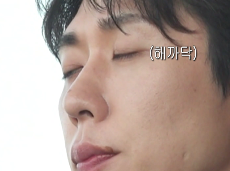  코쿤 제주도 커피 카페 어디 (+최종판)