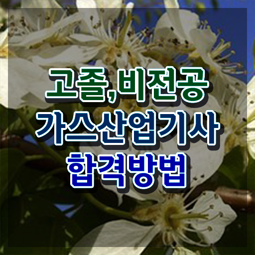  가스산업기사 하는일 가스산업기사 시험자격 온라인으로 단기간에 끝낸 노하우