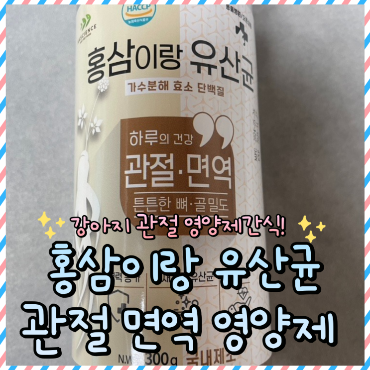  강아지 영양 간식 : 레디펫고 홍삼이랑유산균 관절 면역 찐후기