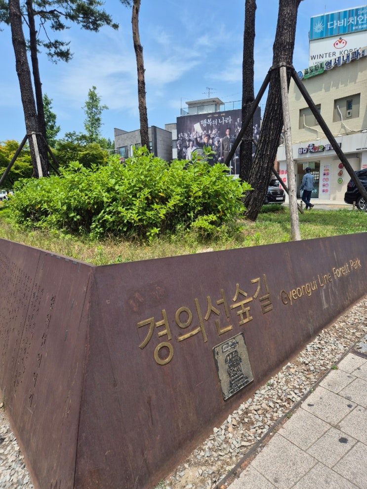 아이랑 홍대 나들이 2탄 (연트럴파크. 갤러리몰랑. 산리오러버스클럽) 아이랑 홍대 나들이 2탄 (연트럴파크. 갤러리몰랑. 산리오러버스클럽)