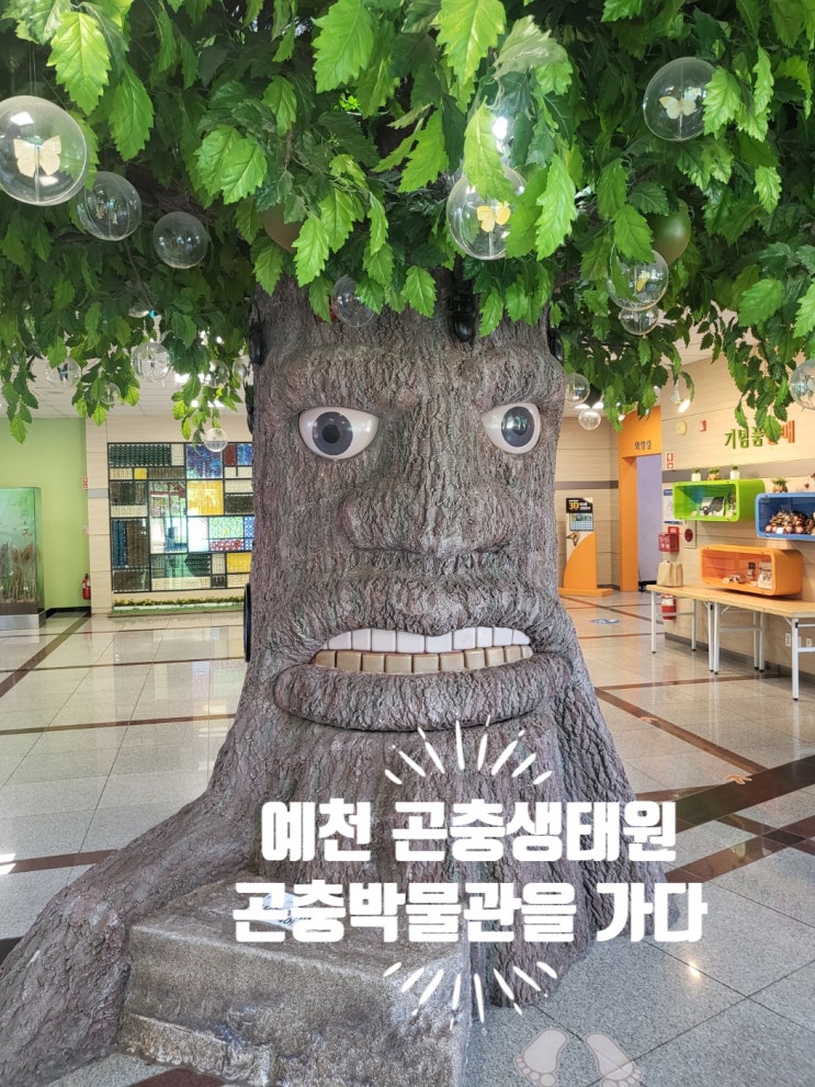  예천곤충 생태원 경북 예천 아이와 가볼 만한 곳 모노레일 곤충 박물관