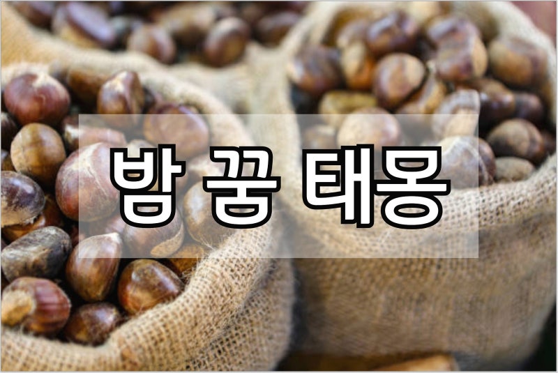 밤 꿈 해몽 밤을 줍는 꿈 알밤이 가득한 꿈 밤을 먹는 꿈 등 밤 꿈 태몽 여자 남자