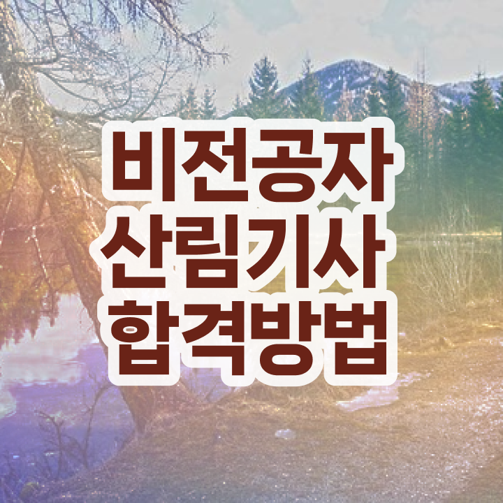  산림기사 국비지원 산림기사 응시자격 인강만 듣고 5달만에 준비한 과정