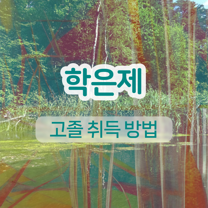  학점은행제 학습자등록 인강만 듣고 독학으로 고졸 비전공자도 빠르게 성공한 노하우
