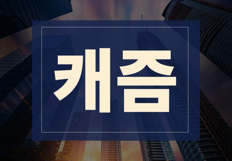  캐즘뜻 알아보겠습니다.(ft. 캐즘이론과 구간 극복 전략은?)