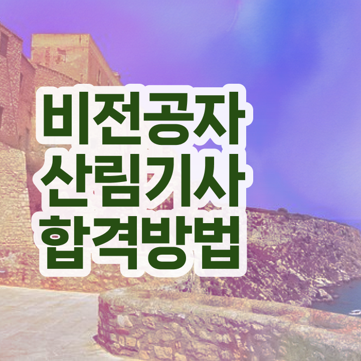  산림기사 신청 산림기사 취득자격 온라인 과정으로 4달만에 준비한 후기