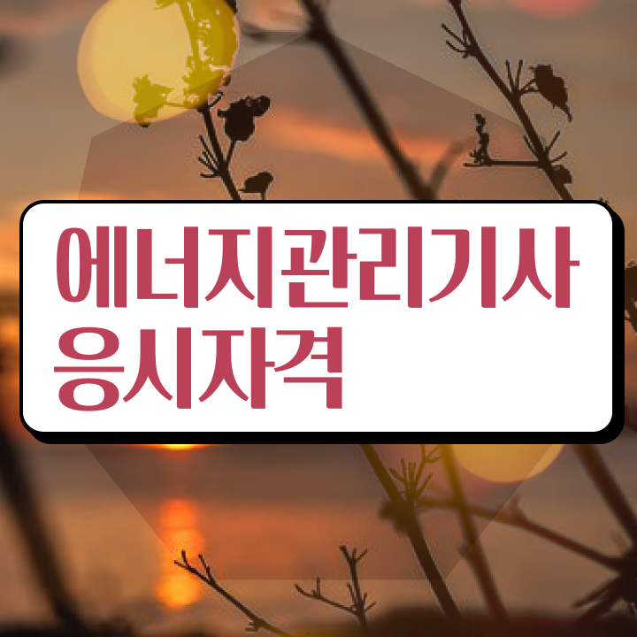  에너지관리기사 시험과목 에너지관리기사 시험자격 집에서 온라인으로 단기간에 성공한 노하우