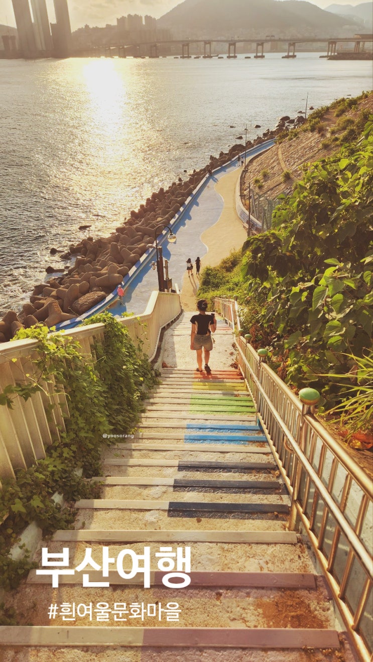  부산 여행 바다, 소품샵, 고양이가 있는 흰여울 문화 마을