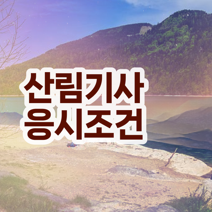  산림기사 난이도 산림기사 자격요건 인강만 듣고 반 년만에 완료한 방법
