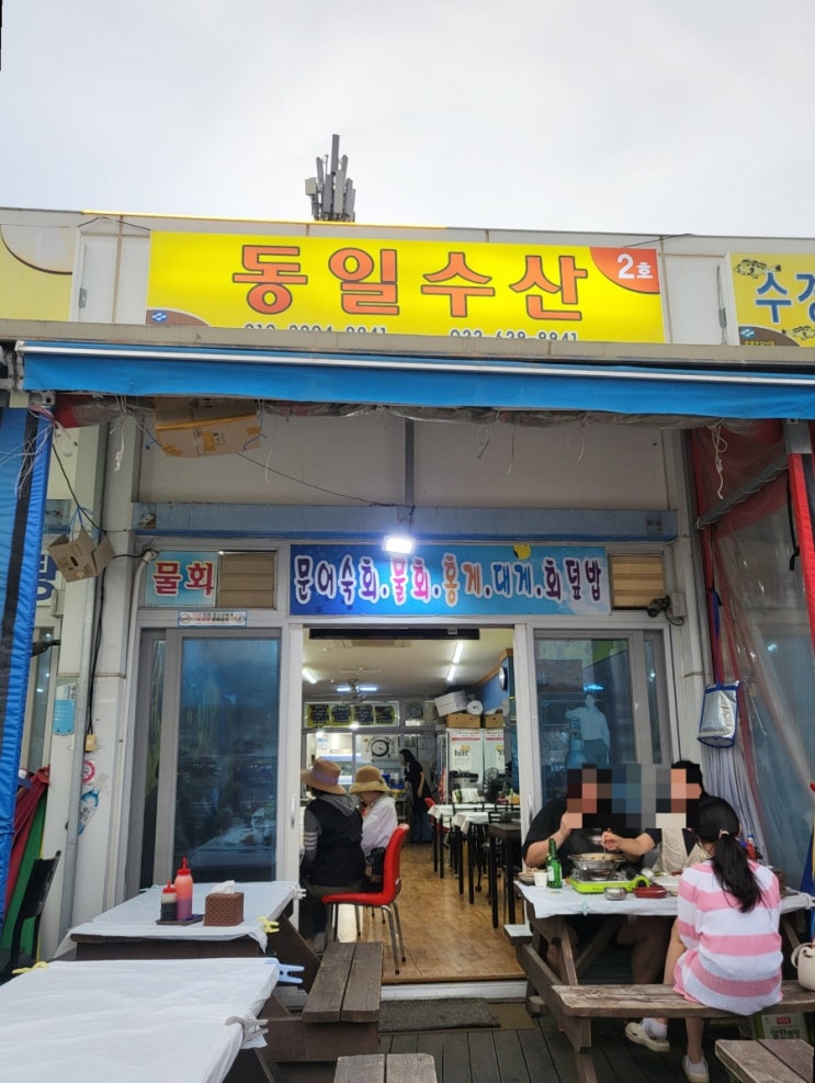  속초 대포항 수산시장, 동일수산, 은하네튀김, 주차장 가격