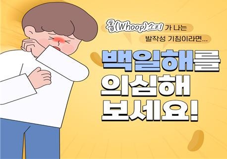 계양구, "콜록콜록 백일해 확산... 예방수칙 꼭 지키세요"