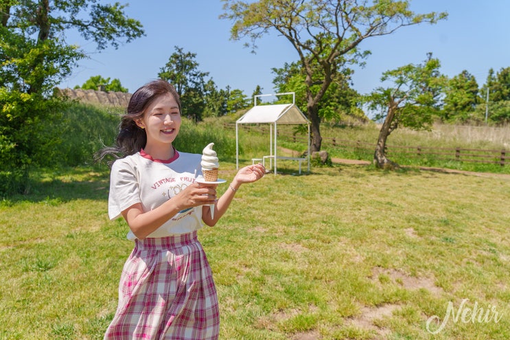 성이시돌목장 제주 목장 카페 새별오름 나홀로나무 제주 왕따나무