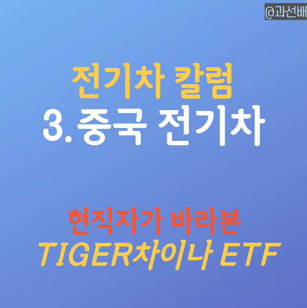  현직자가 본 TIGER 차이나전기차SOLACTIVE ETF 주가 전망