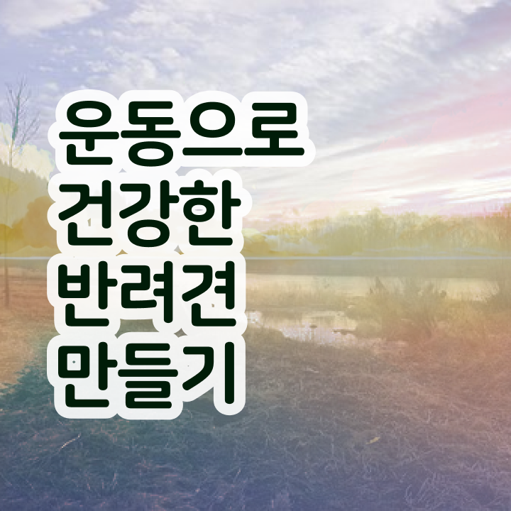  40대여성자격증 , 반려견운동지도사 간편하게 끝낼수 있었던 과정