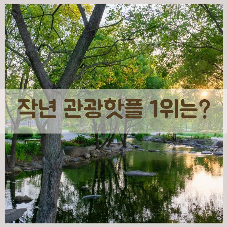  작년 관광핫플 1위 지역은? Top 7