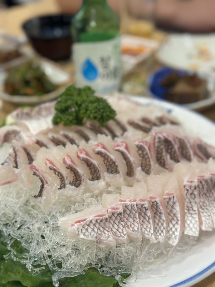  [등촌역 횟집] 부산어시장 목동 사람들 자연산 싱싱 특 도미 회있는 찐 술집맛집