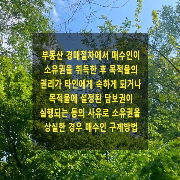  부동산 경매절차에서 매수인이 소유권을 취득한 후 목적물의 권리가 타인에게 속하게 되거나 목적물에 설정된 담보권이 실행되는 등의 사유로 소유권을 상실한 경우 매수인 구제방법