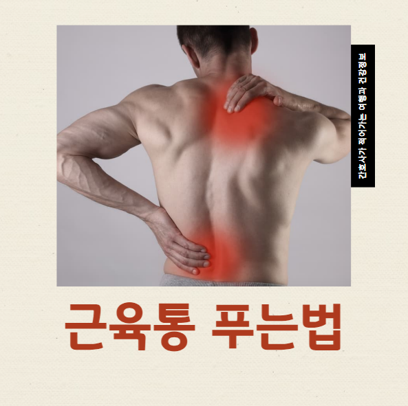  근육통 푸는법 5가지 통증이 생기는 이유