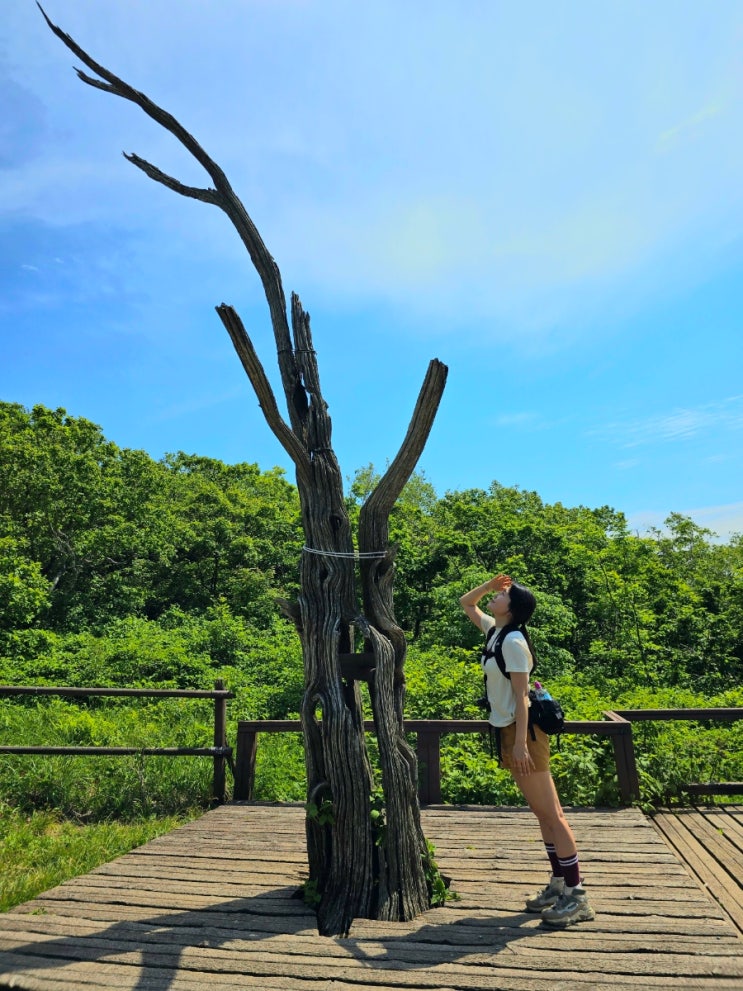  단양 소백산 비로봉 천동코스[초보코스]