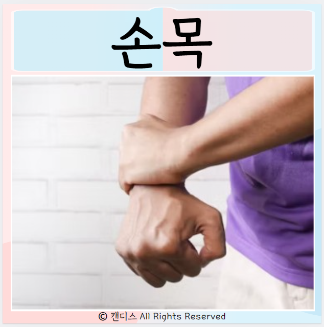  손목뼈 돌출 결정종 건초염 골절