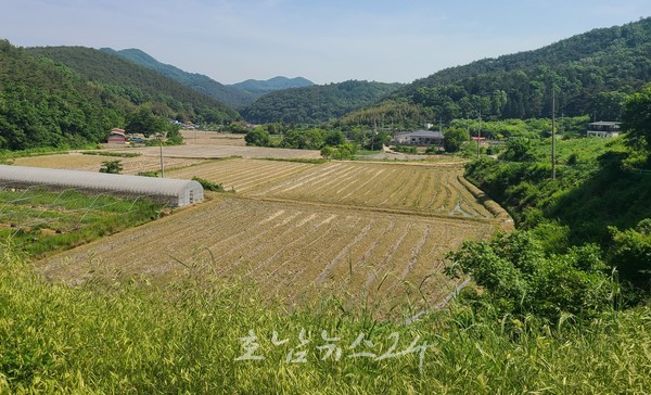 전남도 전국 최초 유기농 생태마을 육성제 추진, 자연과 조화 ‘유기농 생태마을’ 100개 육성한다