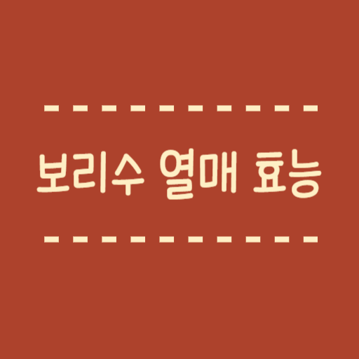  보리수 열매 효능 항산화 항염증 연구결과 정리