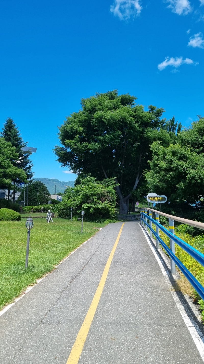 사진 3