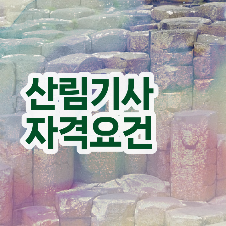  산림기사 필기시험 준비물 산림기사 자격요건 온라인 수업으로 간단하게 성공한 노하우