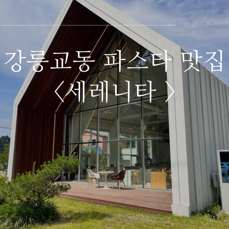  강릉 교동 파스타 애견 동반 식당 < 세레니타> | 강릉 브런치 카페 강릉 교동택지 맛집 추천