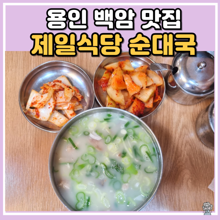 용인 처인구 백암 순대국 맛집 제일식당 자작나무숲 카페 베툴라