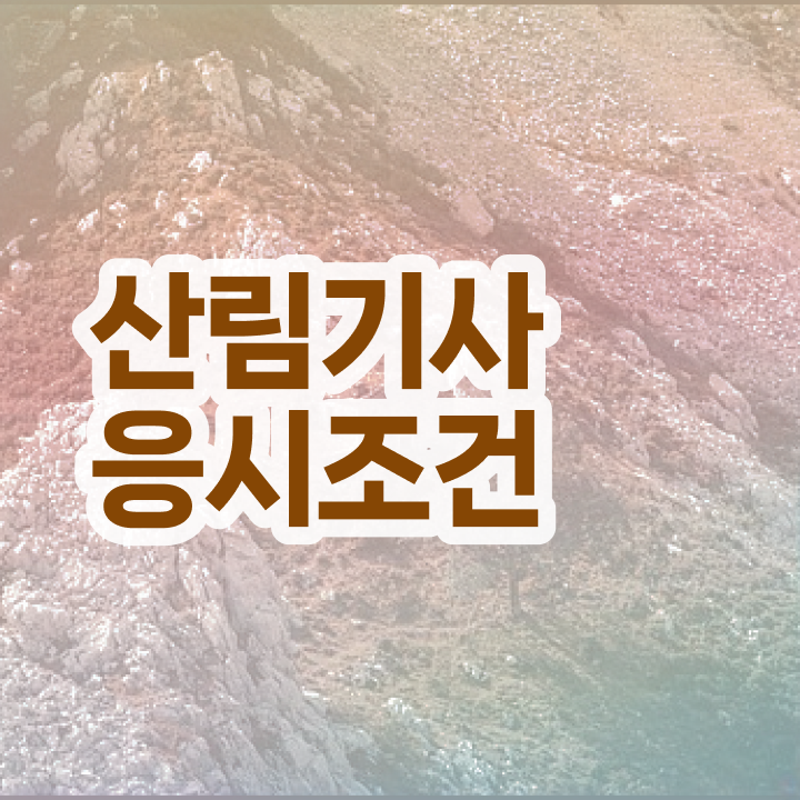  산림기사 후기 산림기사 취득자격 집에서 온라인으로 쉽고 빠르게 준비한 후기