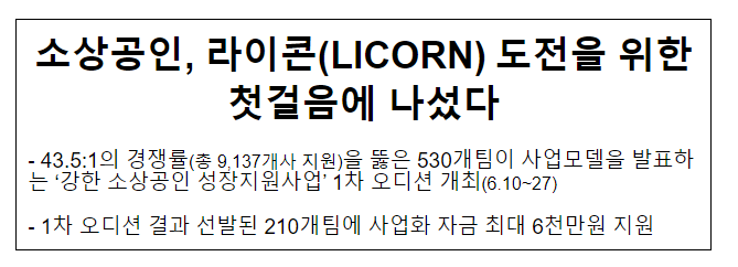 소상공인, 라이콘(LICORN) 도전을 위한 첫걸음에 나섰다 소상공인, 라이콘(LICORN) 도전을 위한 첫걸음에 나섰다