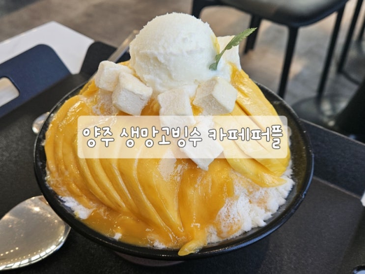  양주 베이커리 카페 퍼플 생망고 빙수맛집!
