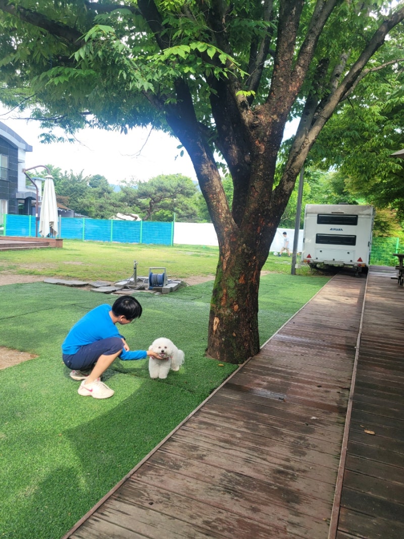사진 7