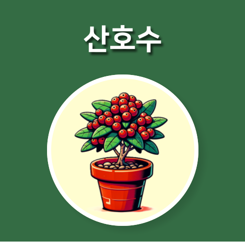 작은 산호가 자란다! 산호수 키우기로 꽃과 열매 만나기