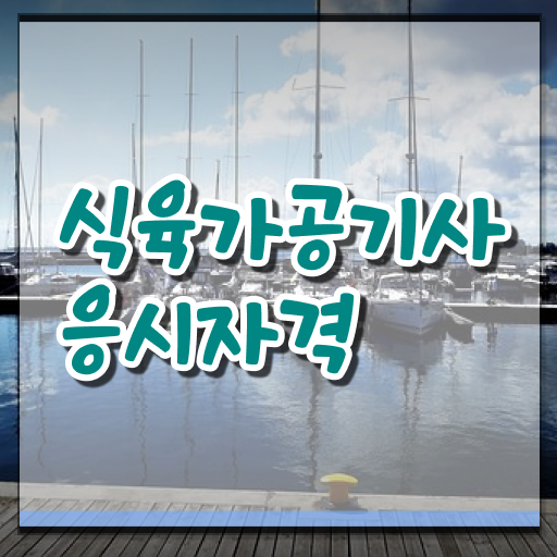  식육가공기사 자격요건 독학으로 1학기에 준비한 과정