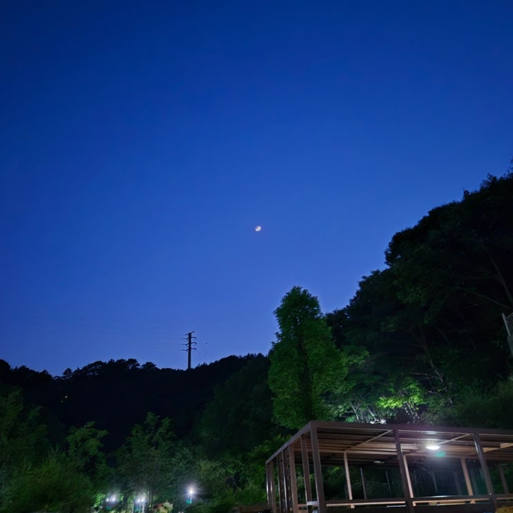  워킹 와이프 평일 일기 ෆ.̮ෆ 2024. 06. 10